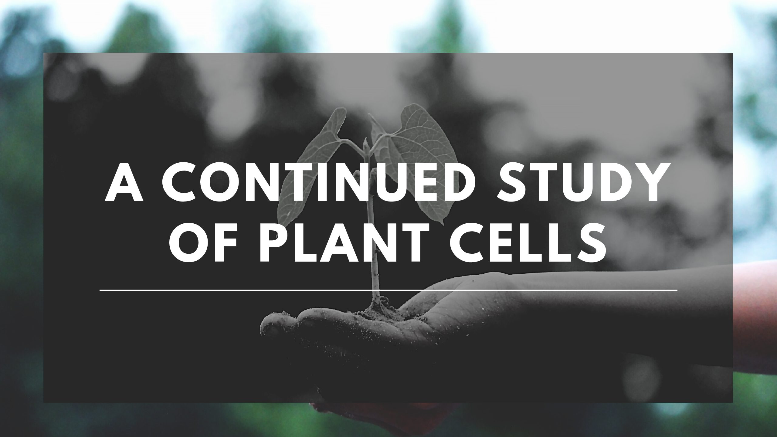 A Continued Study of Plant Cells