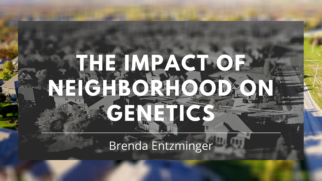 The Impact Of Neighborhood On Genetics Brenda Entzminger