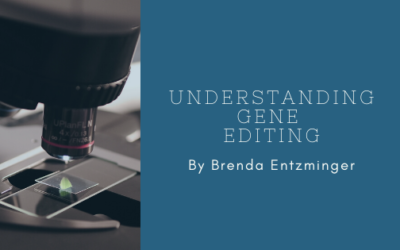 Understanding Gene Editing